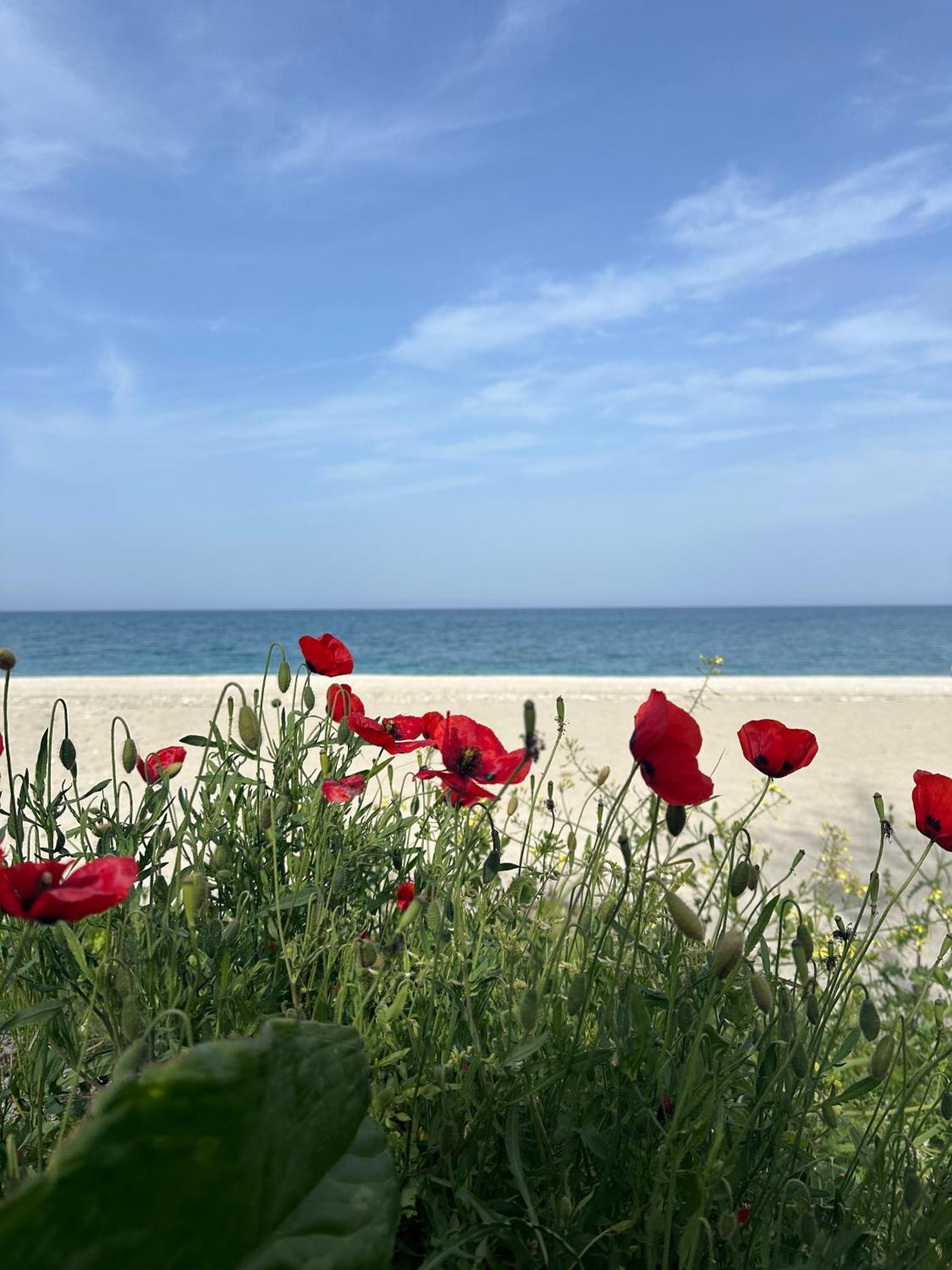 Amelia Beach Apartments Agios Ioannis  エクステリア 写真